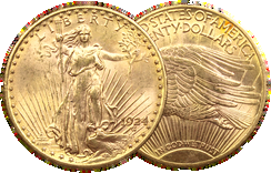 20 Dollars US